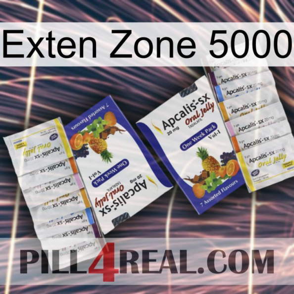 Exten Zone 5000 12.jpg